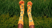 DillySocks Sokken Abonnement